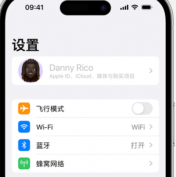 叉河镇appleID维修服务iPhone设置中Apple ID显示为灰色无法使用