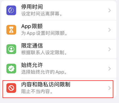 叉河镇appleID维修服务iPhone设置中Apple ID显示为灰色无法使用