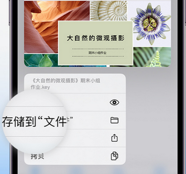 叉河镇apple维修中心分享iPhone文件应用中存储和找到下载文件