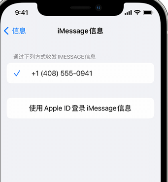 叉河镇apple维修iPhone上无法正常发送iMessage信息