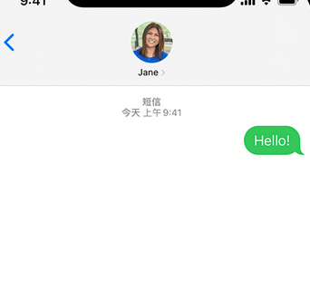 叉河镇apple维修iPhone上无法正常发送iMessage信息