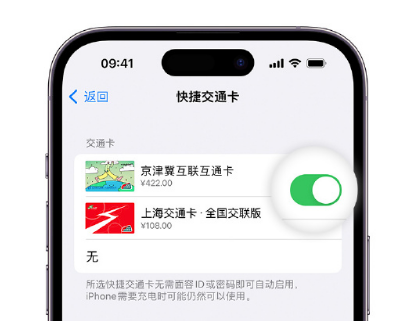 叉河镇apple维修点分享iPhone上更换Apple Pay快捷交通卡手绘卡面 