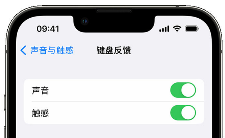 叉河镇苹果手机维修分享iPhone 14触感键盘使用方法 