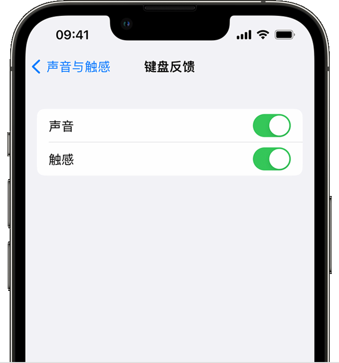 叉河镇苹果14维修店分享如何在 iPhone 14 机型中使用触感键盘 