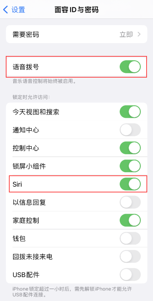 叉河镇苹果维修网点分享不解锁 iPhone 的情况下通过 Siri 拨打电话的方法 