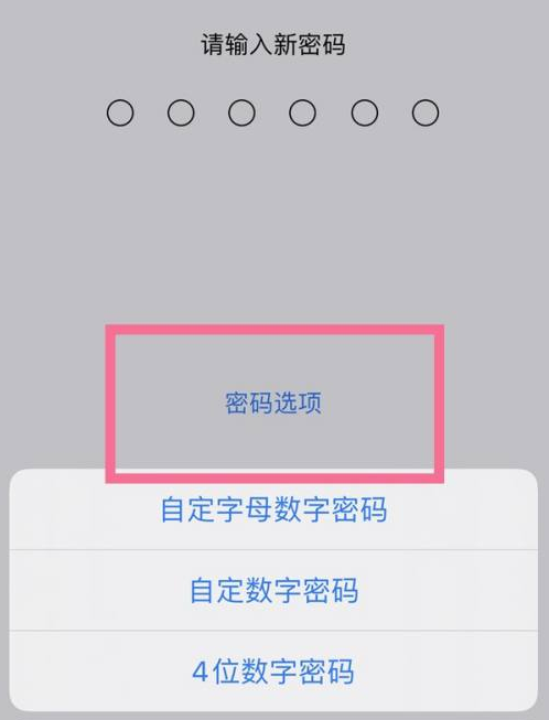 叉河镇苹果14维修分享iPhone 14plus设置密码的方法 