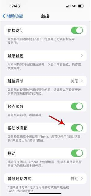 叉河镇苹果手机维修分享iPhone手机如何设置摇一摇删除文字 